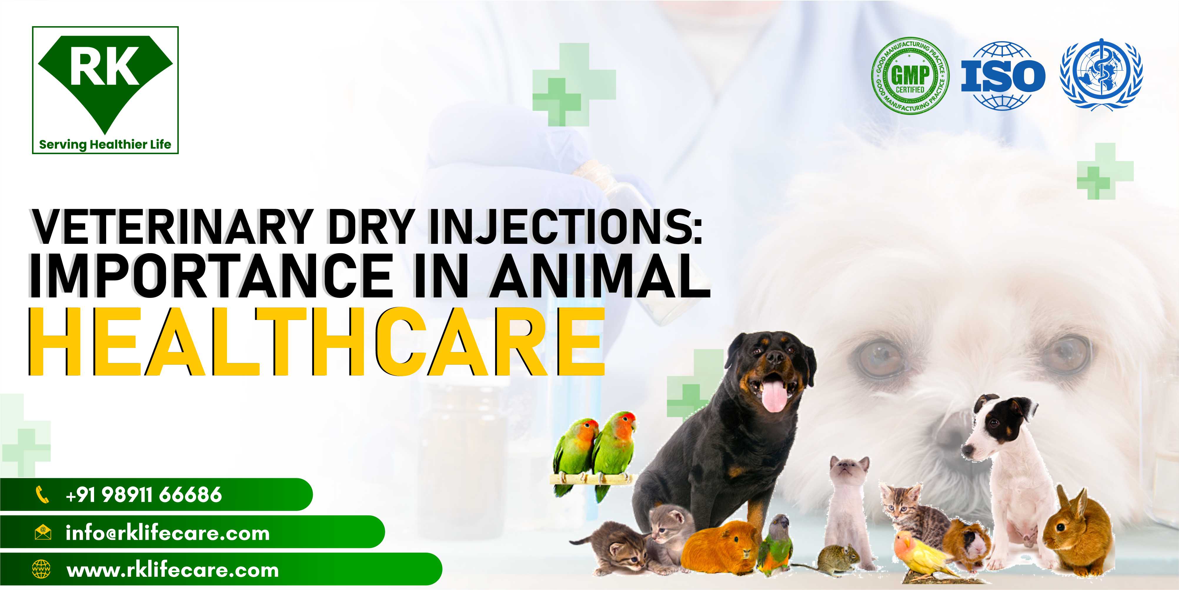 Veterinary Dry Injections: Importance in Animal Healthcare